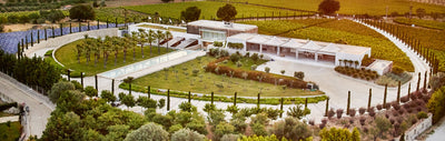 Weingut Urla I Weinland Türkei I MineDineWine