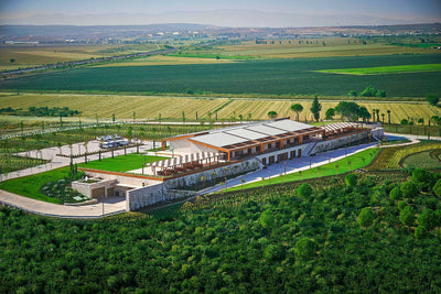 Weingut Lucien Arkas I Weinland Türkei I MineDineWine