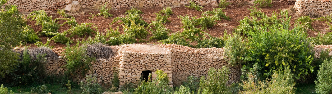 Weinanbauregion - Südostanatolien 