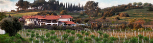 Weingut 7Bilgeler